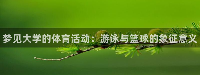 betway西汉姆联官网