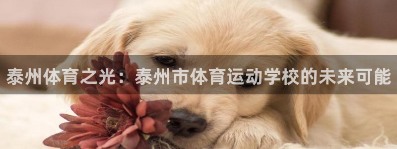 betway西汉姆
