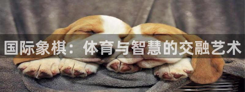 betway西汉姆联