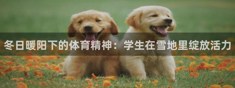 betway西汉姆联