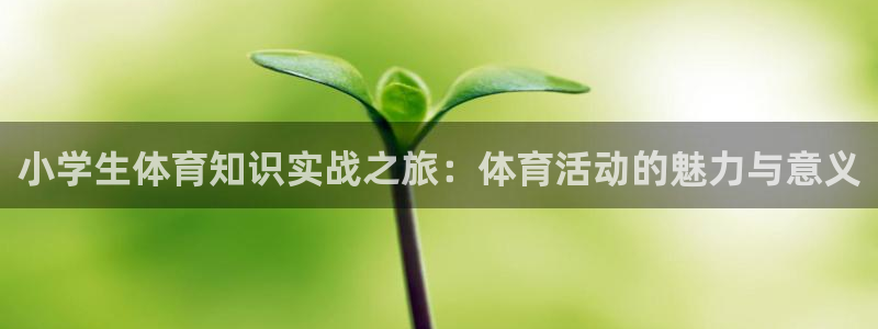 必威betway西汉姆联