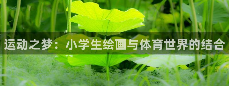 betway西汉姆联